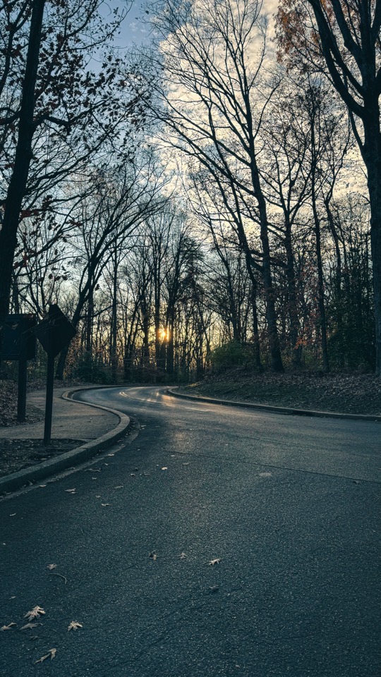 /038 Winter bend