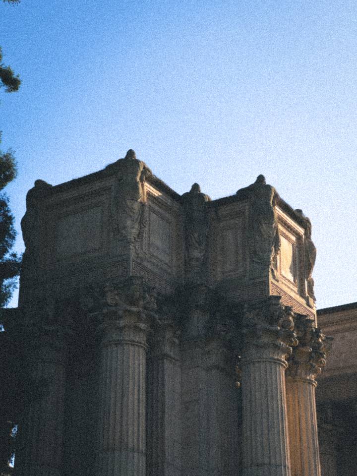 /022 Aster