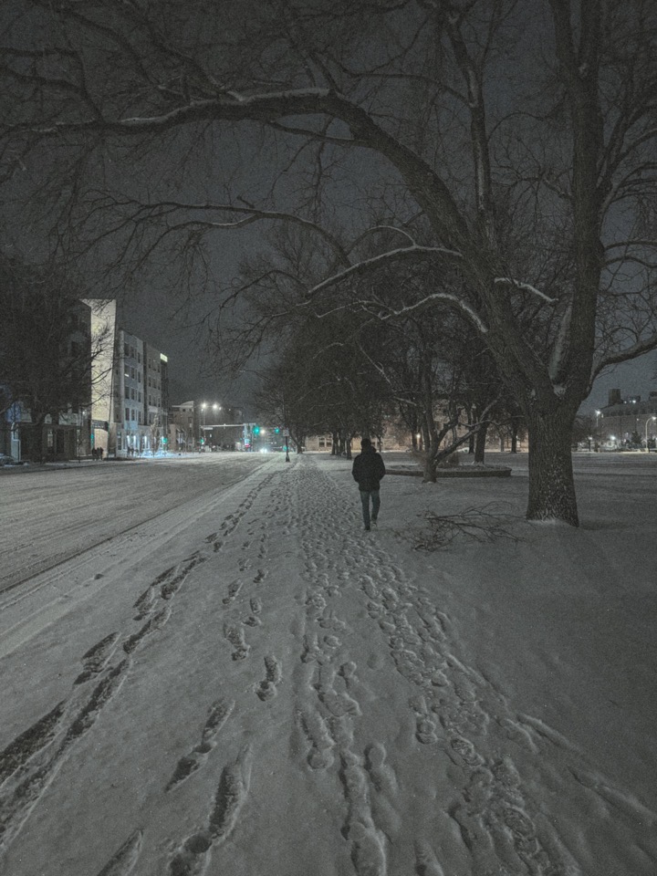 /067 Snowfall
